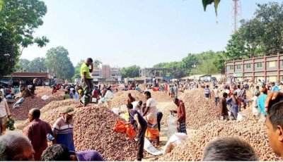 রাজশাহীতে পেঁয়াজের কেজি পাঁচ টাকা