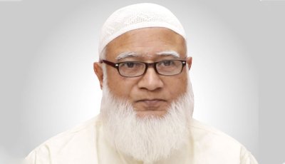 দেশ ও জাতির স্বার্থে পাশে আছি: জামায়াত আমির