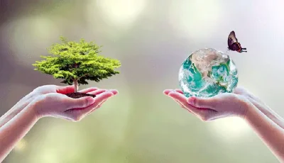 নগরায়ন ও পরিবেশ সুরক্ষায় সচেতনতা প্রয়োজন